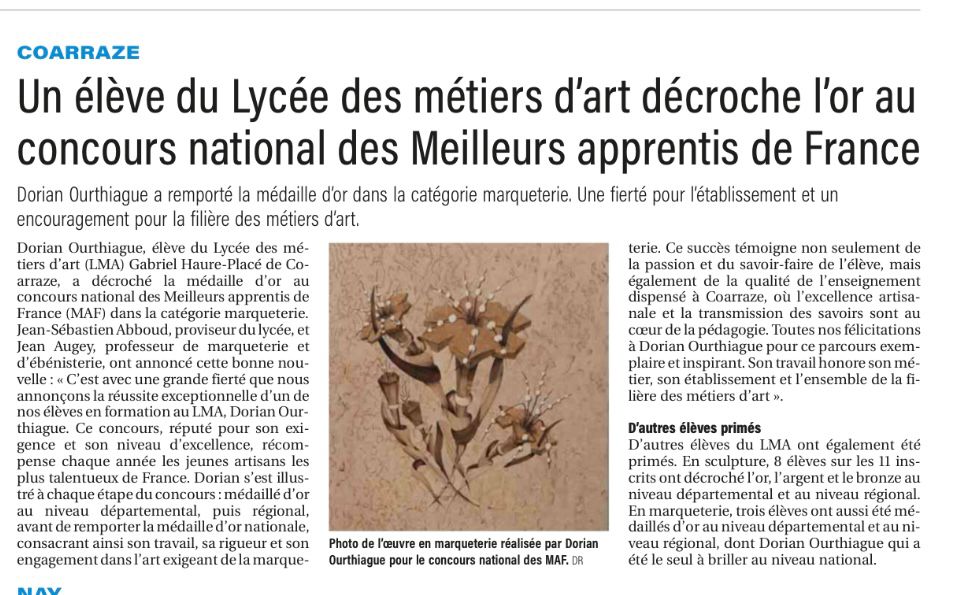 Un élève du LMA décroche l'or au concours national des Meilleurs apprentis de France